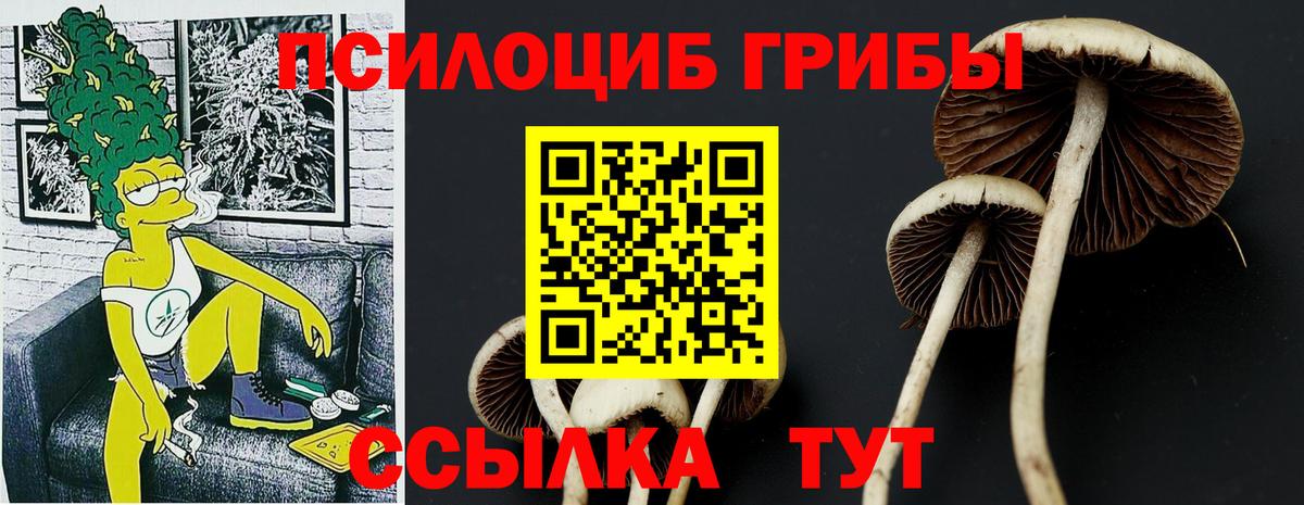 Галлюциногенные грибы прущие грибы  Вход с VPN  Владимир 