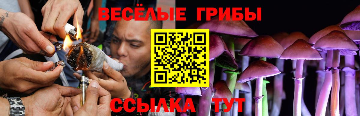 Галлюциногенные грибы ЛСД Владимир